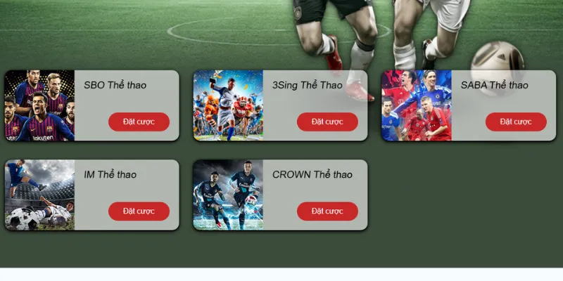 Những đặc điểm nổi trội nhất của sảnh thể thao 789F