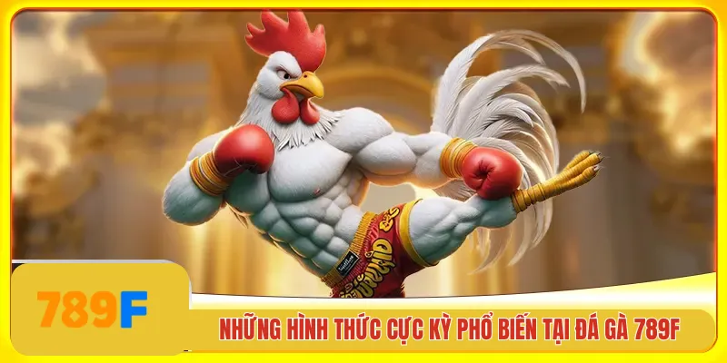 Những hình thúc cá cược đá gà 789F nổi bật nhất 2025